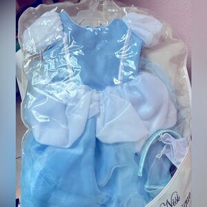 Cinderella dress with the accessories